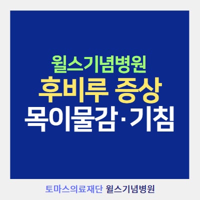 후비루 증상 (목이물감·기침·가래·냄새)