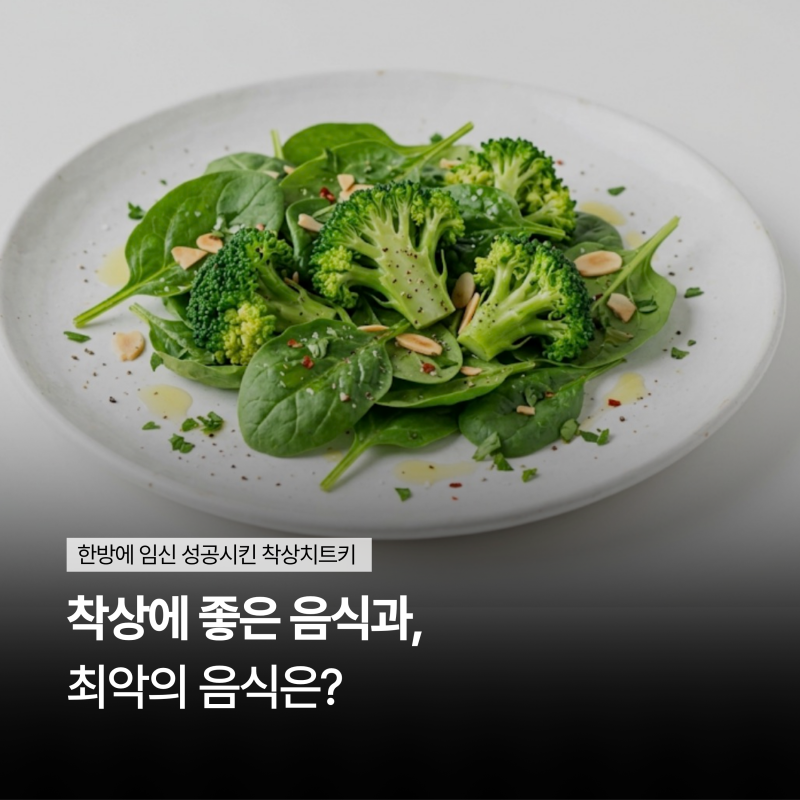 임신일기 EP8l 한방에 임신한, 착상에 좋은 음식과 최악의 음식