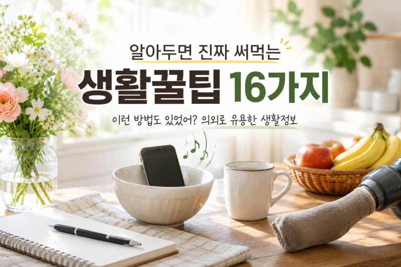 알아두면 진짜 써먹는 생활꿀팁 16가지｜“이런 방법도 있었어?” 의외로 유용한 생활정보