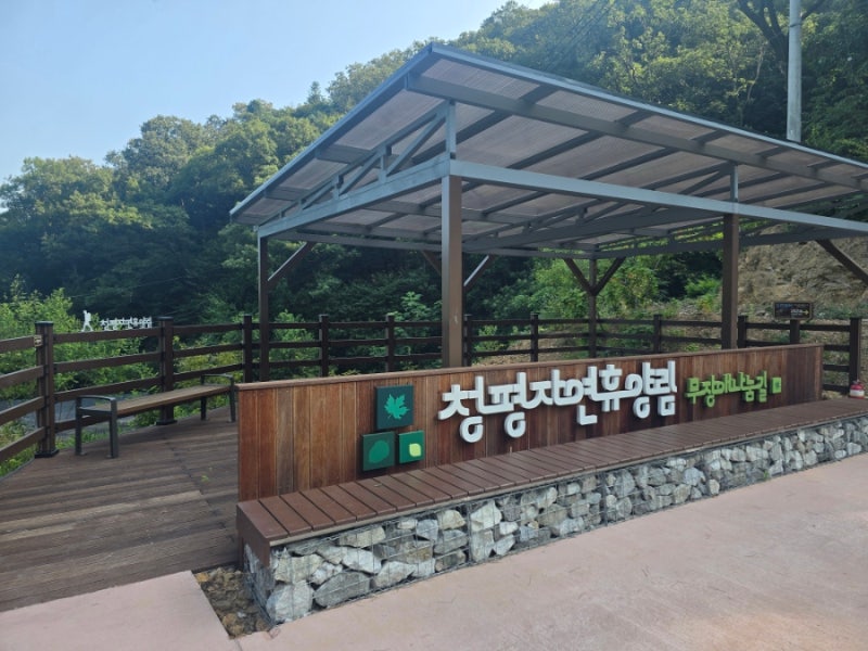 가평 | 푸릇 푸릇 한 청평자연휴양림 소소한 가족 모임 휴가