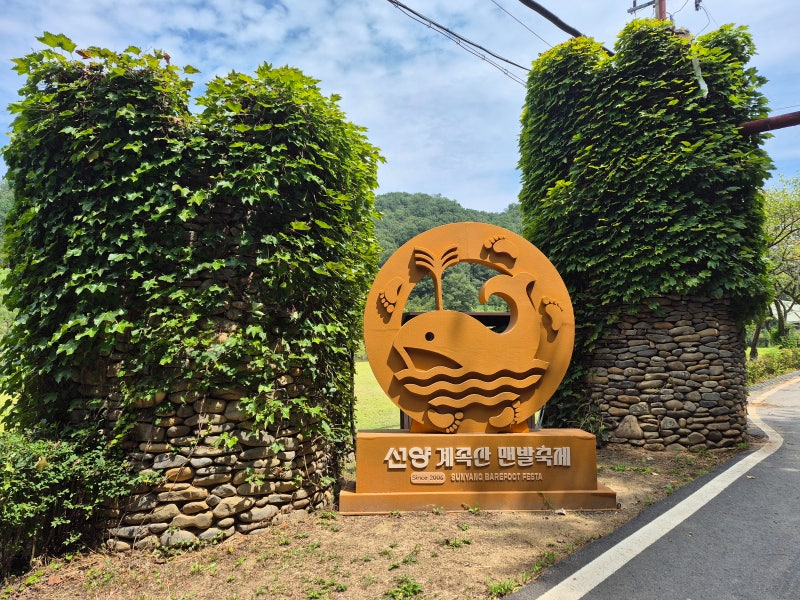 [대전 여행] 맨발로 걷는 힐링 로드, 계족산황토길 & 장동산림욕장 방문기