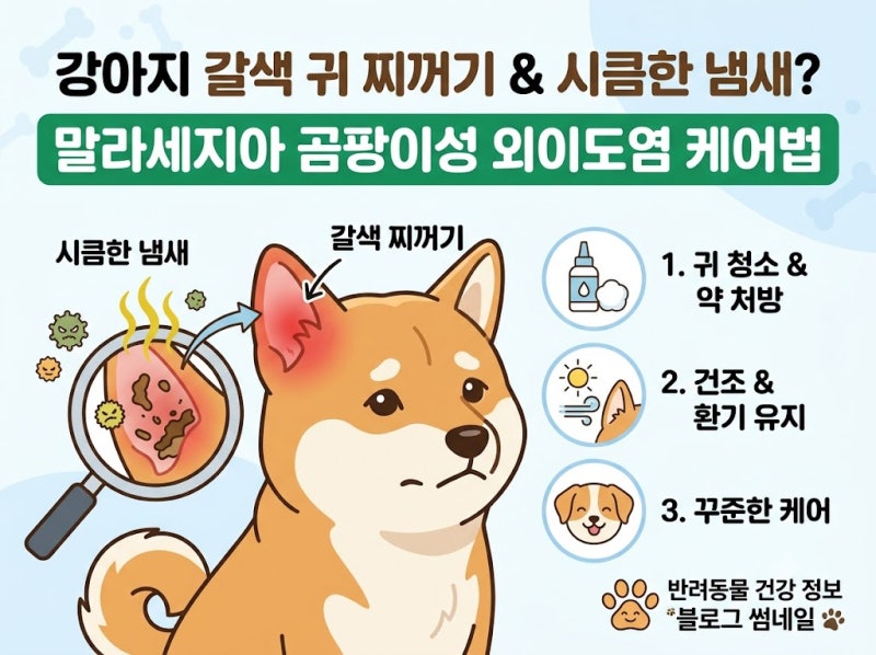 강아지 귀에서 갈색 찌꺼기와 시큼한 냄새가? 말라세지아 곰팡이성 외이도염 케어법