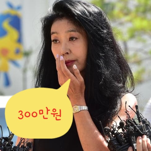 "매달 300만원씩 받았다고!?" 김부선 스폰 의혹 법정 싸움 대여금vs지원금 | 김부선 나이 결혼 ....