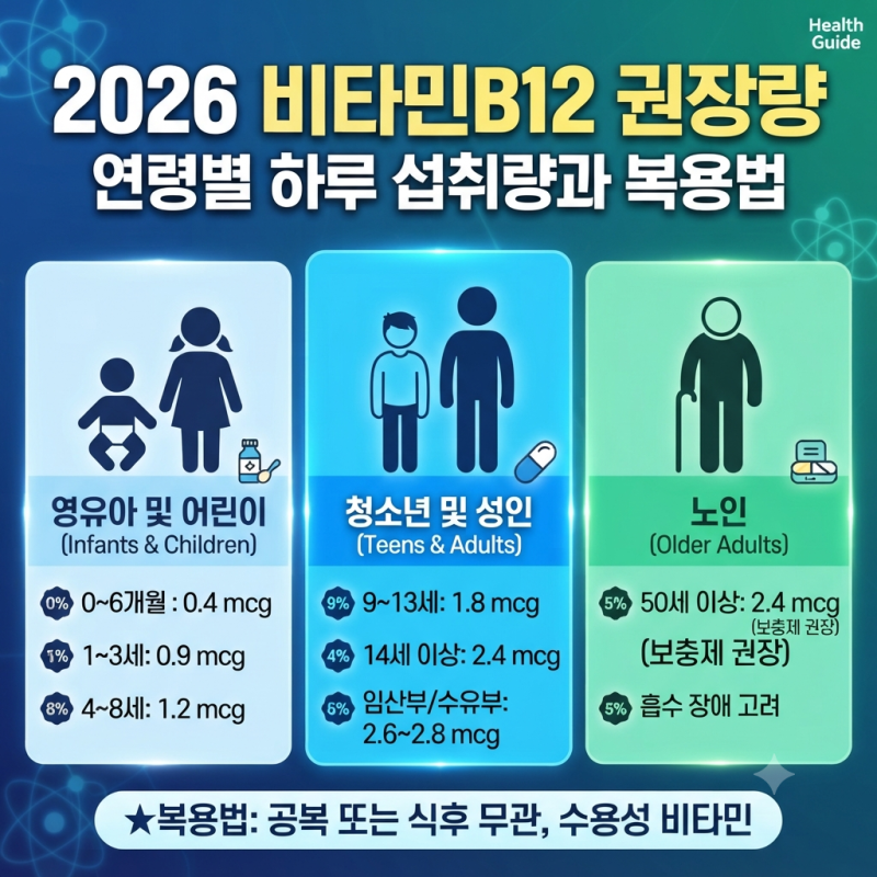 2026 비타민B12 권장량 연령별 하루 섭취량과 복용법