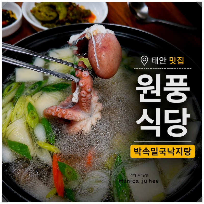 태안 맛집 원풍식당 | 박속밀국낙지탕 35년 전통 낙지요리 후기