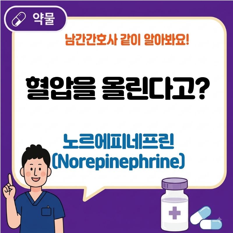 노르에피네프린(Norepinephrine) 작용기전, 혈압은 어떻게 올라갈까요?