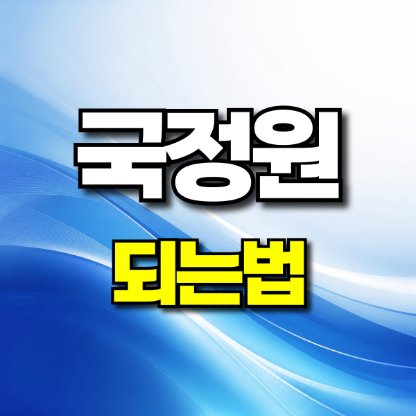 <b>국정원</b> 되는법 9급 채용부터 자격증·학점은행제 준비까지