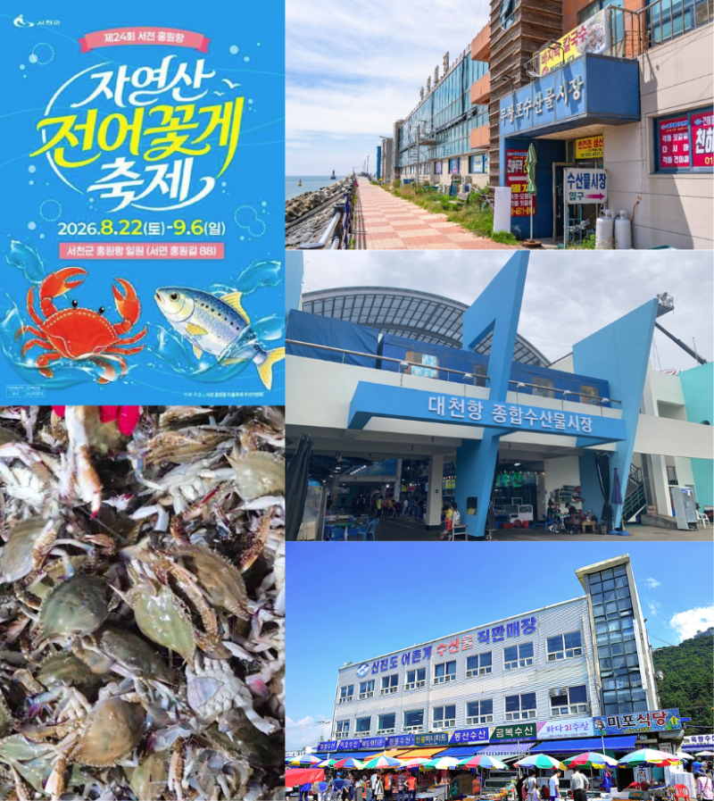 2026 가을 꽃게철 시작! 충남 꽃게 산지·수산시장 총정리