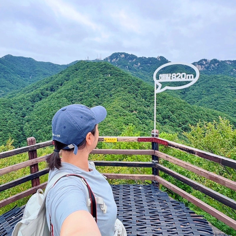 대구 여행 코스 팔공산 케이블카 대구 절 동화사