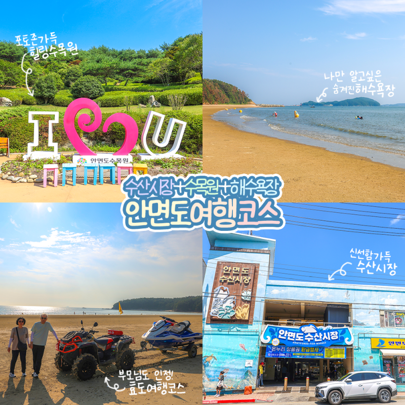 충남 태안 가볼만한곳 안면도 수산시장 수목원 장삼포 해수욕장