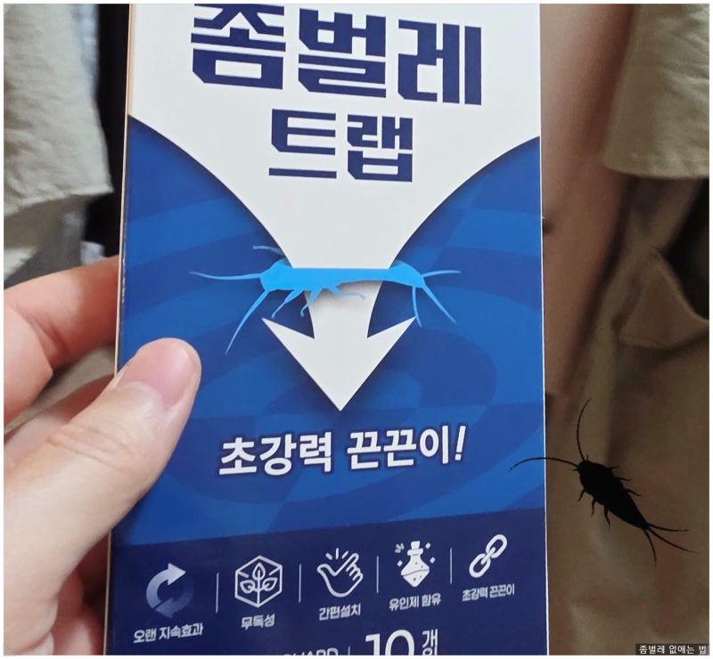 좀벌레 없애는 방법! 옷장 습도, 원인, 해결 방법