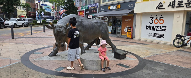 속초 양양 가족 캠핑! 설악해변 차박부터 속초관광수산시장 먹거리와 갯배 체험까지