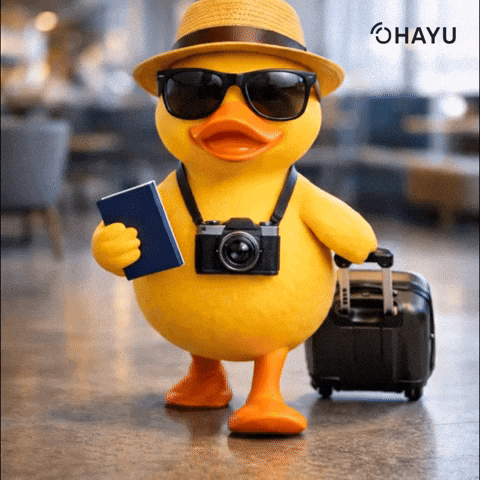 Jeju Island Travel | How to Book Cheap Flights to Jeju Island
