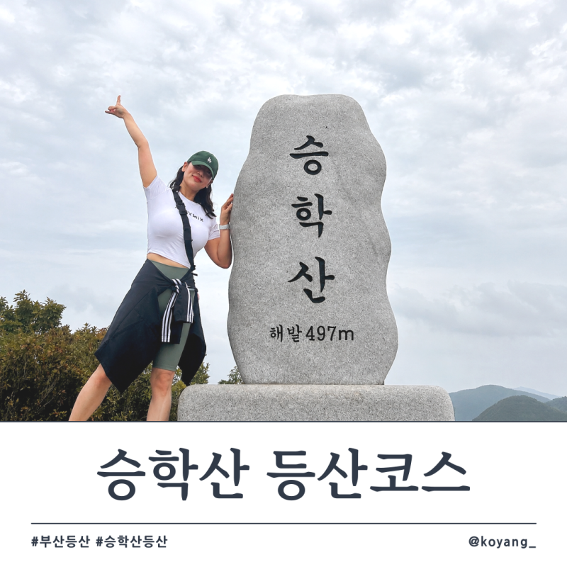 승학산 등산코스 부산 쉬운 등산 추천 초보자도 가능한 가을 트래킹 코스
