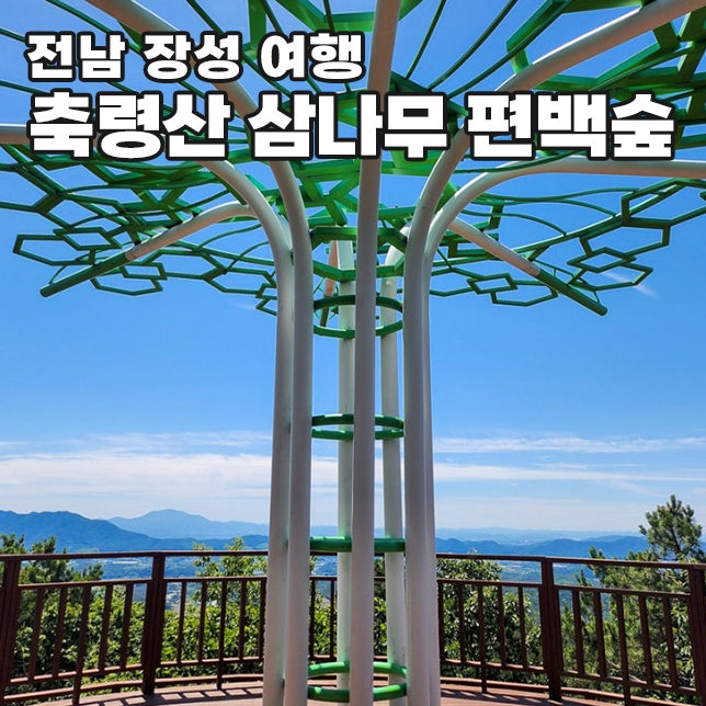전라남도 장성 축령산 자연휴양림 삼나무 편백숲 등산코스