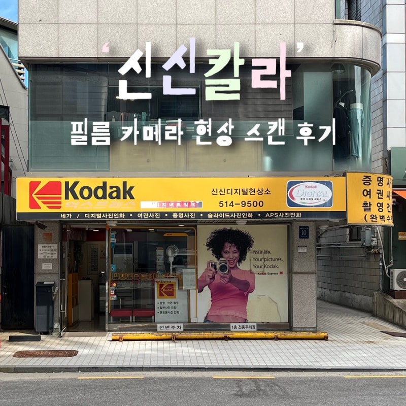 [서울/강남] ‘신신칼라’ 코닥 일회용 필름 카메라 당일 인화 스캔 후기(가격, 시간, 결과물)
