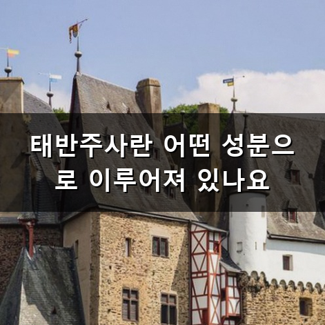 태반주사효능 피로 회복과 건강 관리에 대해 알아보는 시간