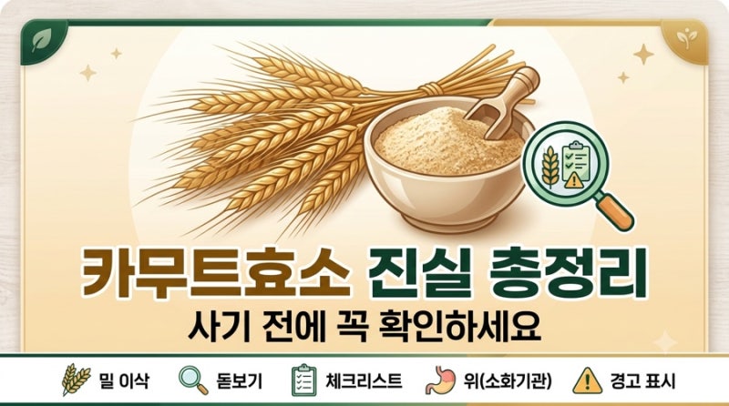[건강 정보] 카무트효소 진실 총정리 | 효능·소비자원 지적사항·소화불량 관리법까지 한눈....