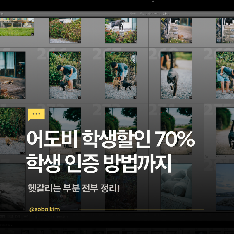 어도비 학생할인 70% 시작, 학생인증방법 알고 할인 놓치지 마!