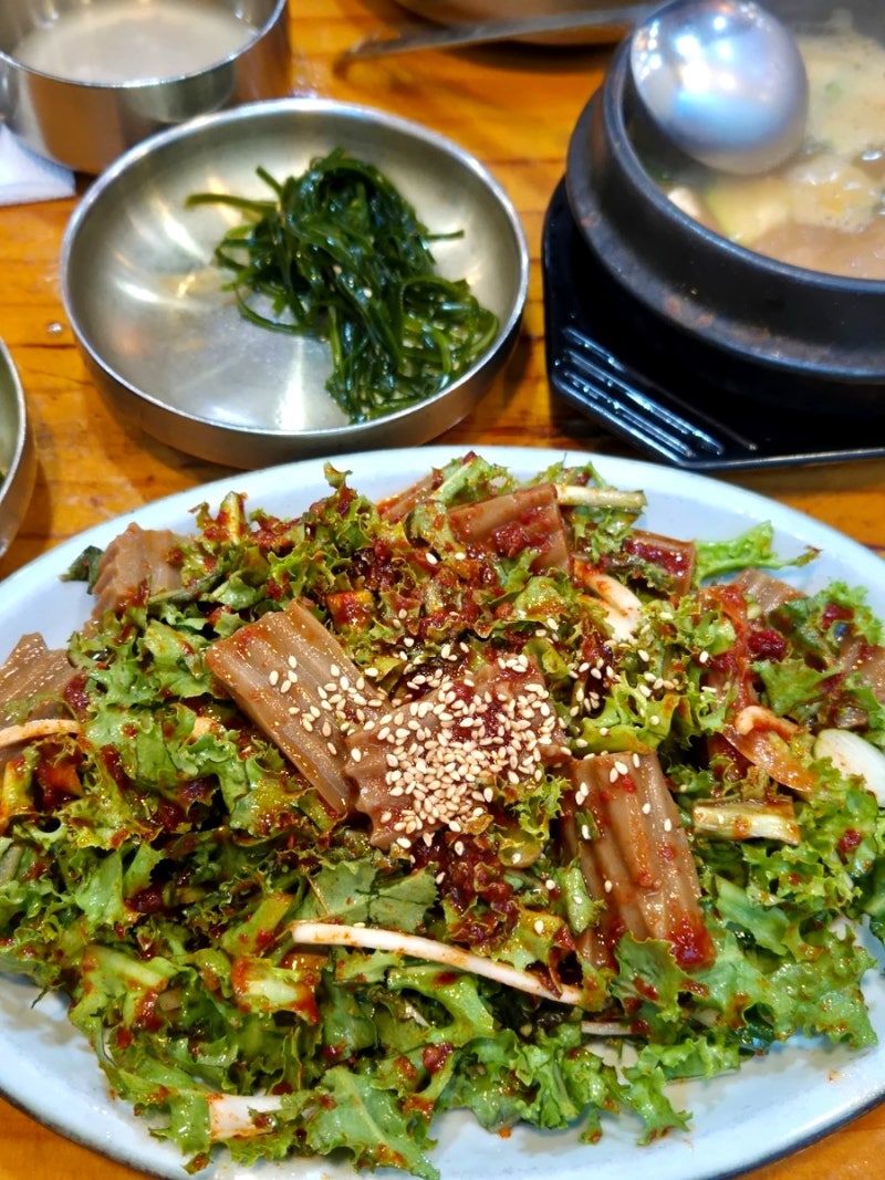 부산 벡스코 맛집 비학산보리산생칼국수｜보리밥 비빔밥부터 바지락칼국수까지