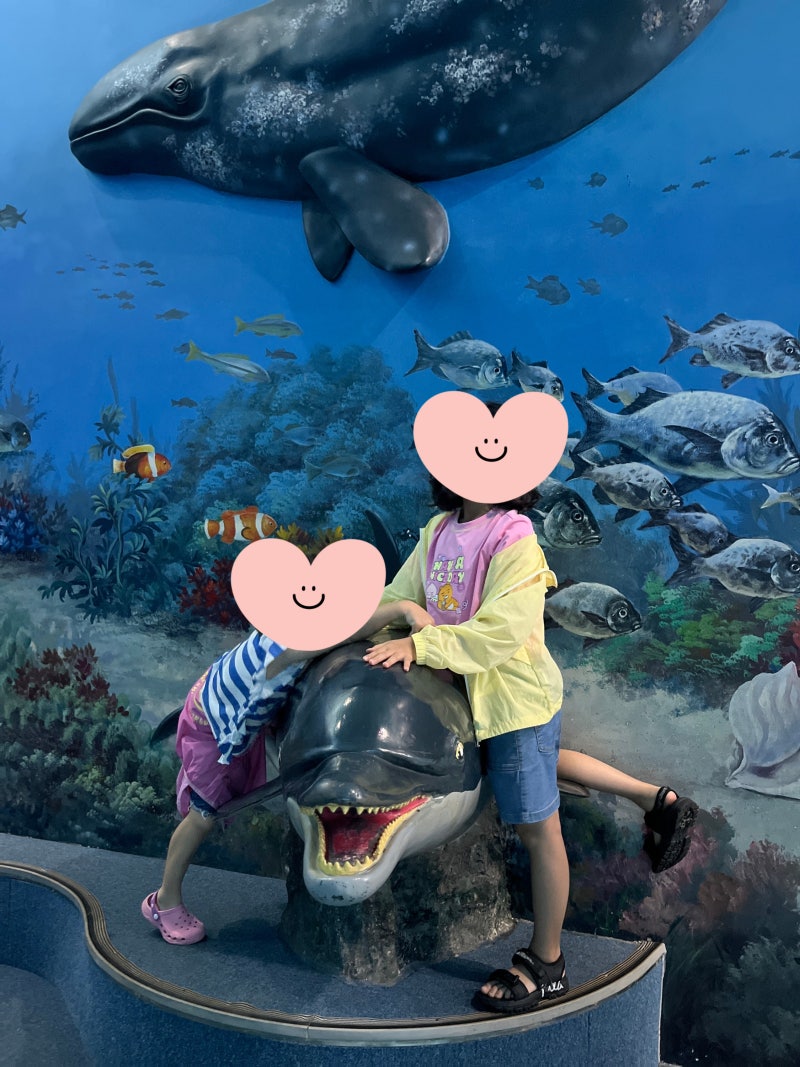 울산가볼만한곳 장생포고래생태체험관 돌고래쇼 4D 할인 유모차 후기