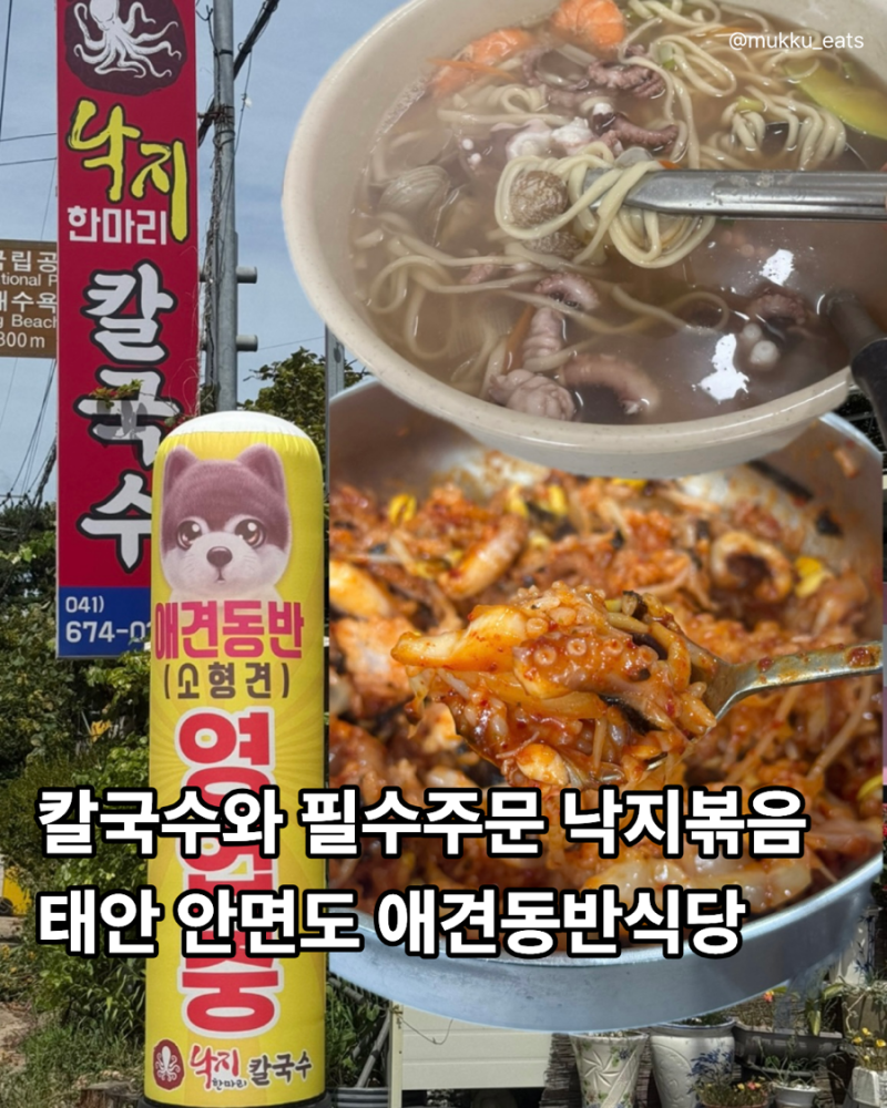 충남 태안 안면도 애견동반식당 낙지한마리칼국수 낙지덮밥 태안 가볼만한곳