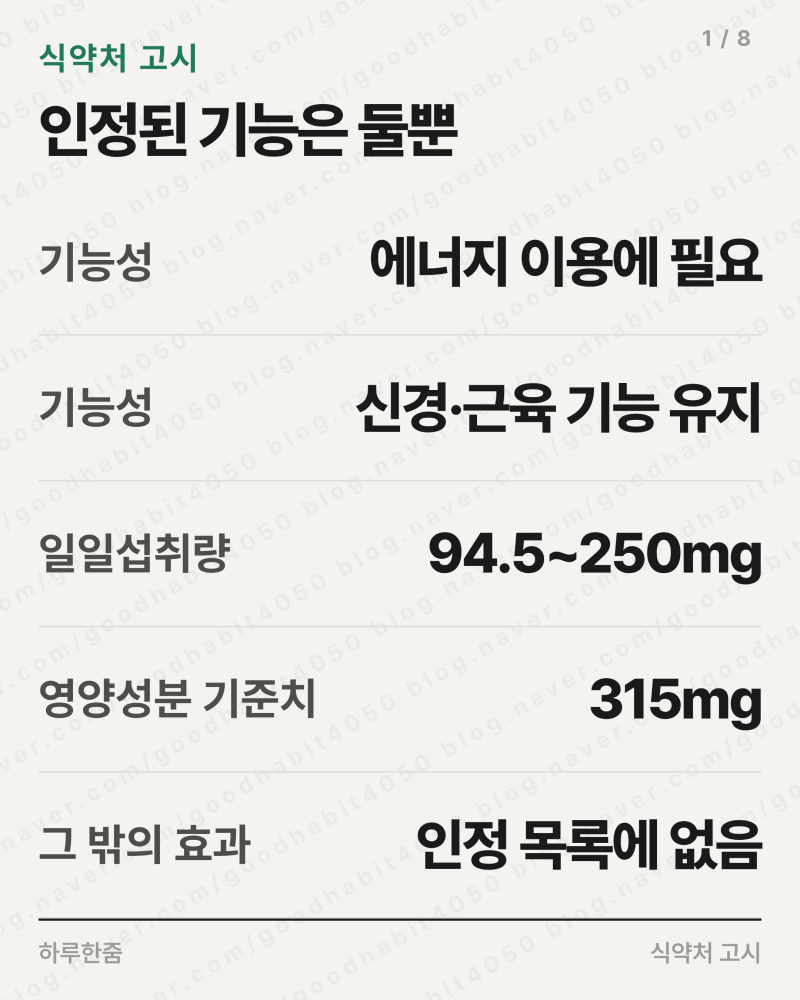 마그네슘 효능과 하루 권장량 380mg, 확인된 것만 정리했습니다