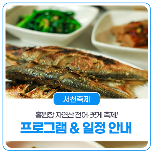 홍원항 자연산 전어꽃게 축제 프로그램&일정 안내