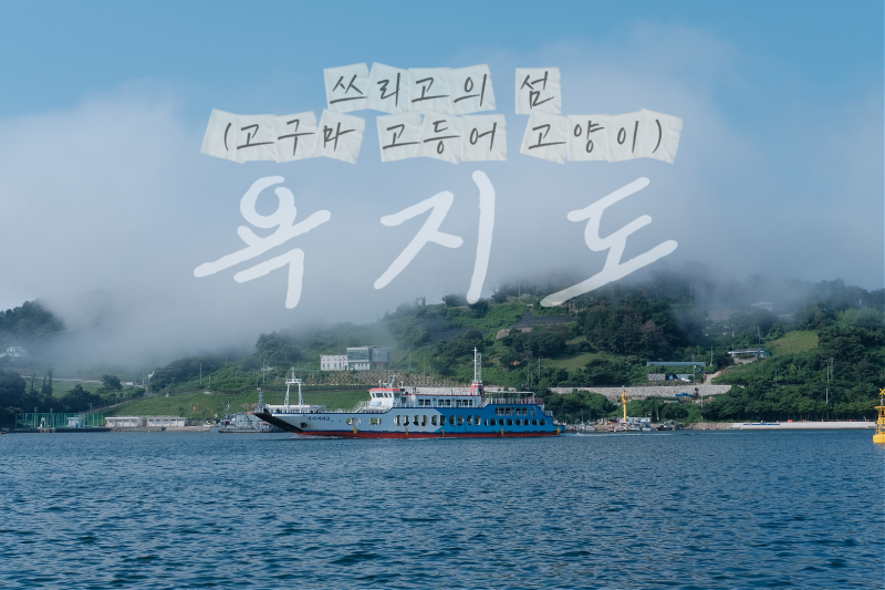 [통영]통영섬여행 욕지도 여행후기 (숙소 추천_민박 펜션, 맛집 추천, 해변, 낚시, 해루질 포....