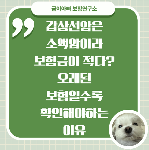 갑상선암은 소액암이라 보험금이 적다? 오래된 보험일수록 확인해야하는 이유
