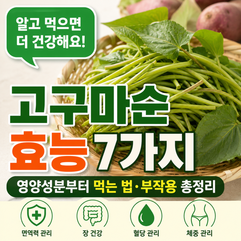 고구마순 효능 7가지, 영양성분부터 먹는 법·부작용 총정리