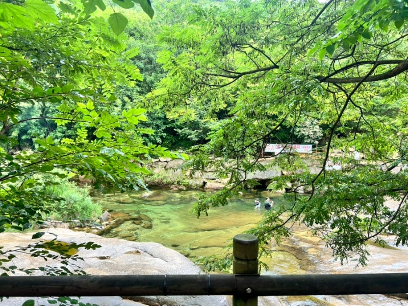 국립공원 월악산 덕주야영장 후기_취사 가능한 계곡