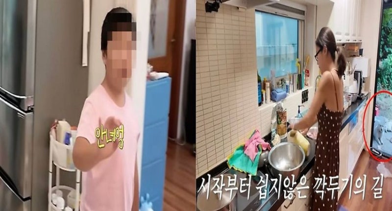 황정음 마당 강아지 논란, 근데 그 개들 정체 알고 나면 말이 달라집니다