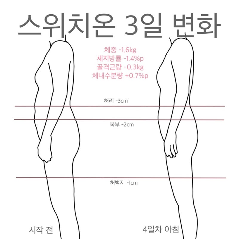 [#2] 스위치온 다이어트 3일 변화(식단표 트래커 공유)