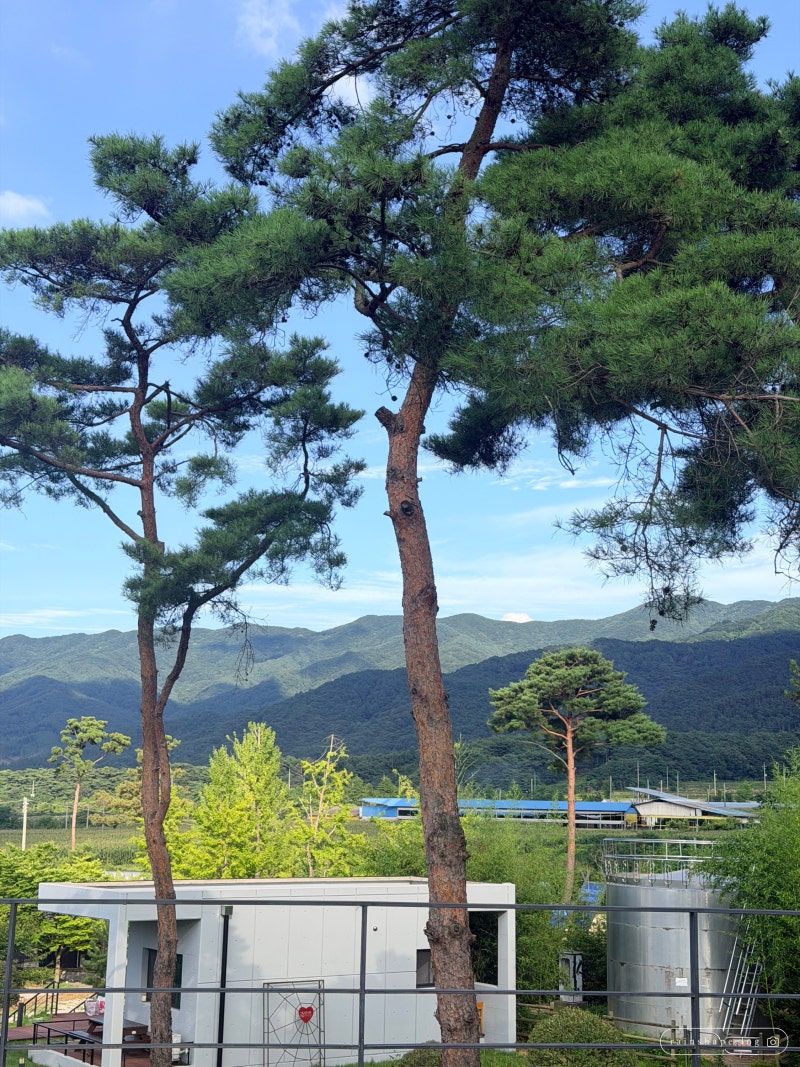 남원 백두대간 에코롯지 무지개 후기｜7·8월 물놀이장 있는 가족 숙소 추천