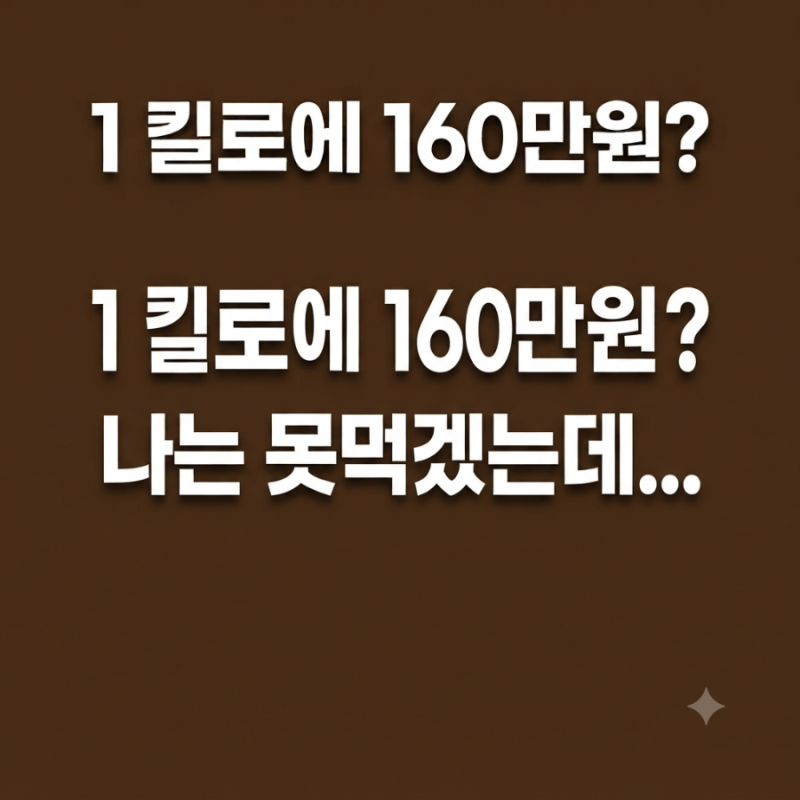 [가을 제철 먹거리] 1kg에 160만 원? 나는 못먹겠는데....