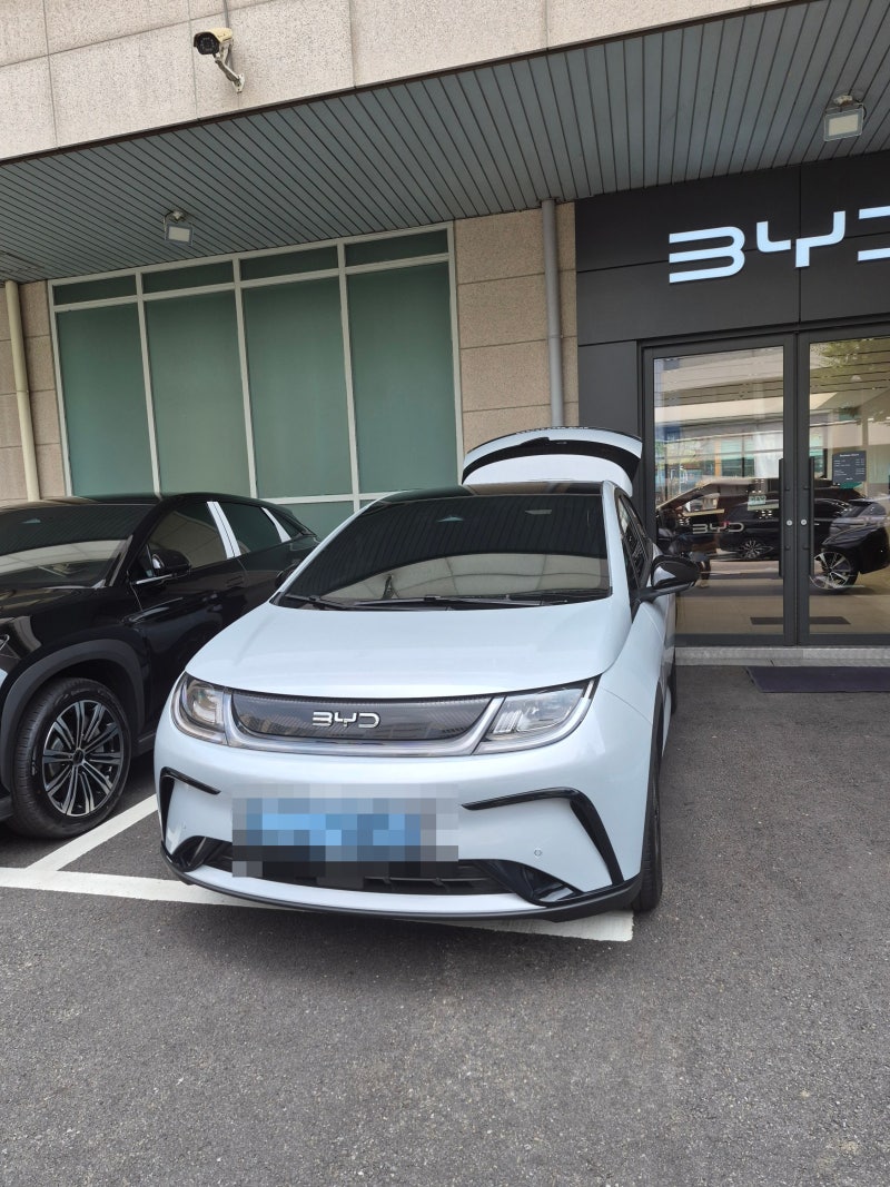 BYD 돌핀 출고 2주 실사용 후기｜가격·충전비·기능·장단점 총정리