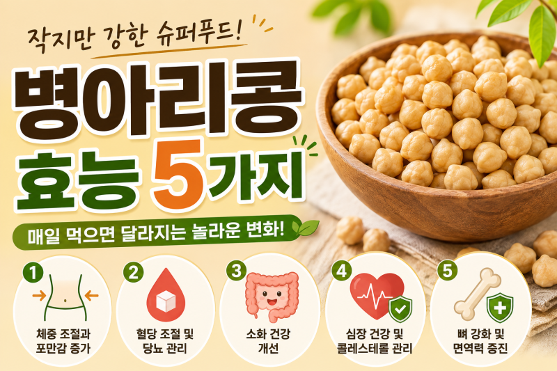 매일 먹으면 몸이 달라지는 병아리콩 효능 5가지