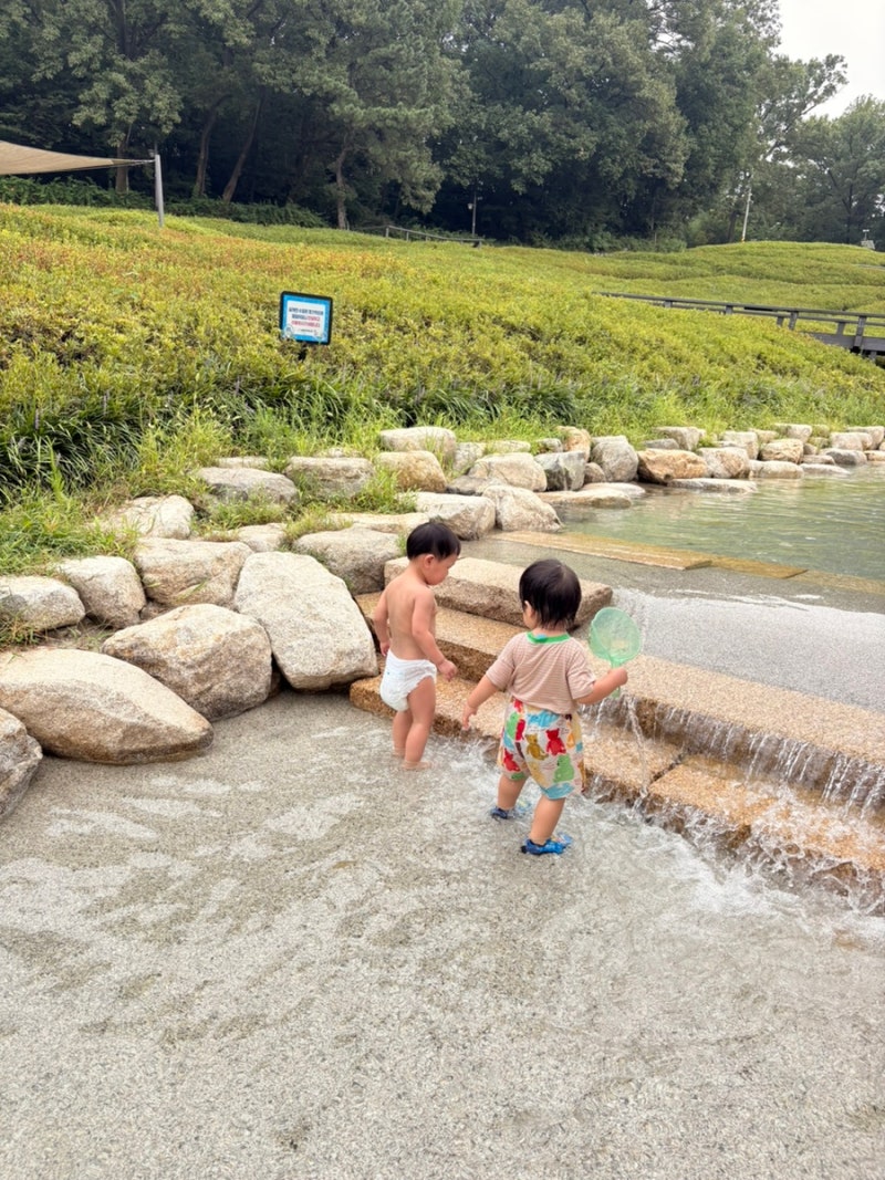 불암산 나비정원 계곡·물놀이장, 완전무료인데 시설까지 좋아요(주차 팁)