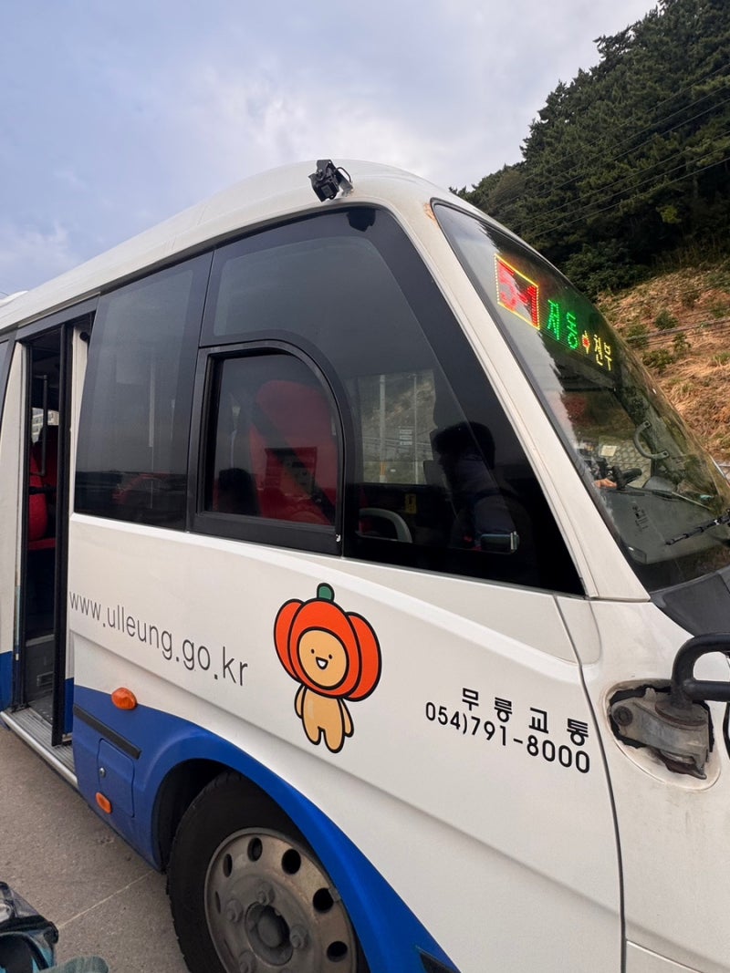 울릉도 렌트카 꼭 필요할까?｜뚜벅이·버스·택시 직접 이용 + 버스시간표 공유