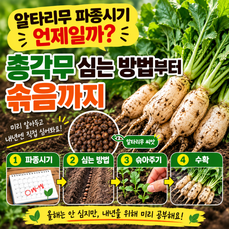 알타리무 파종시기 언제일까? 파종시기·간격·물주기·솎음까지 재배방법 쉽게 정리