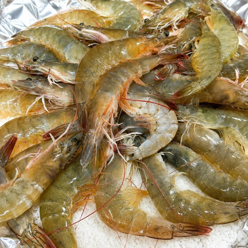 보령 맛집 횟집 대천항 수산시장 녹도수산 새우 포장 후기