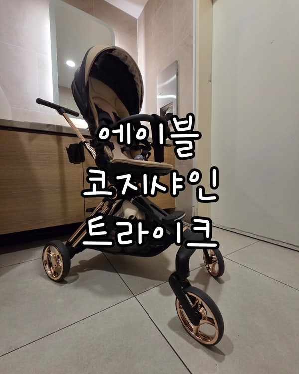 내돈내산 에이블 코지샤인 트라이크 4개월아기 9개월까지 사용 후기