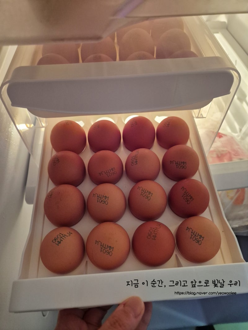 계란트레이 추천 국내생산 40구 계란보관함 사용후기