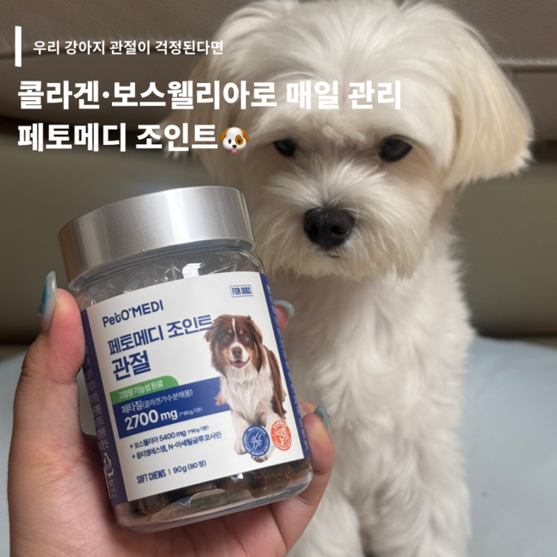 강아지관절영양제추천 페토메디 조인트, 간식처럼 챙기는 관절 건강 루틴