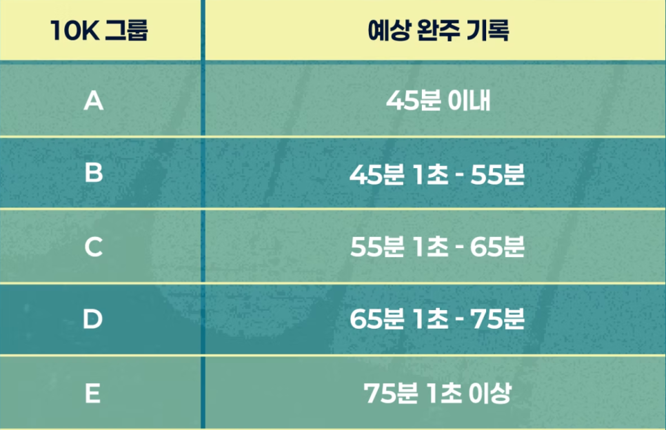 라이브 사진 4