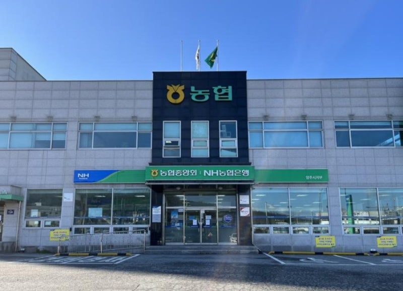 농협 영업시간 총정리｜인터넷뱅킹·ATM·점검시간까지 한눈에