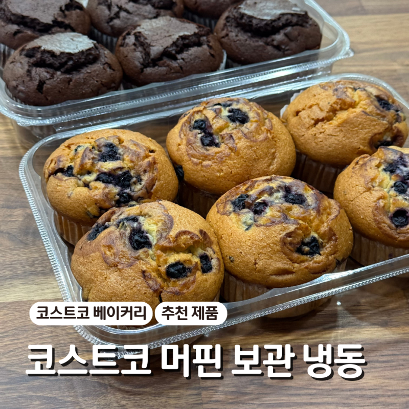 코스트코 머핀 보관 냉동 가격 리뷰 블루베리 초코 머핀