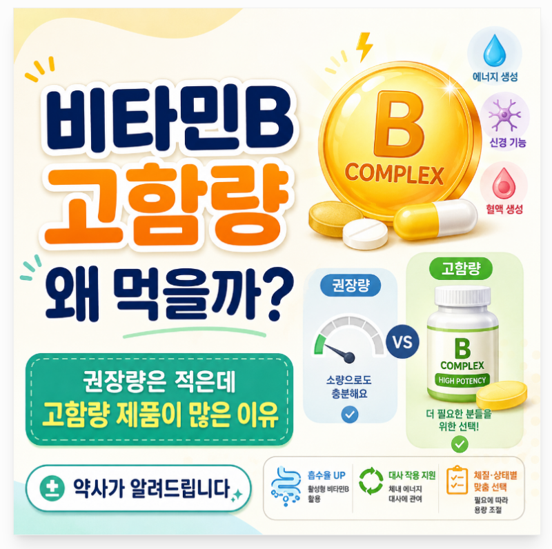 비타민B 하루 권장량은 적은데 왜 고함량으로 먹을까? 약사가 알려드립니다