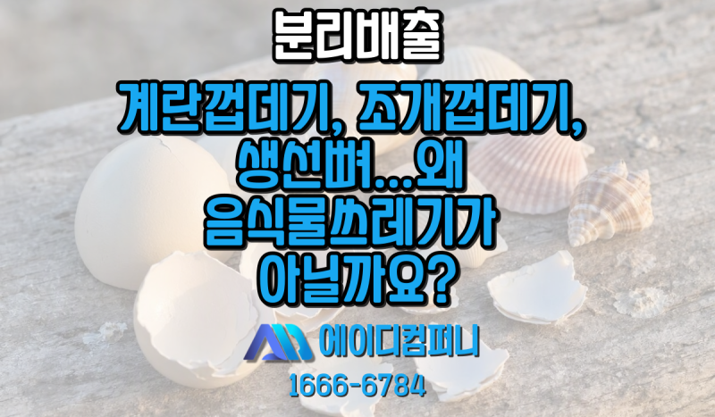 계란껍데기, 조개껍데기, 생선뼈...왜 음식물쓰레기가 아닐까요?
